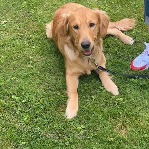 Meet your Posher, Kyle